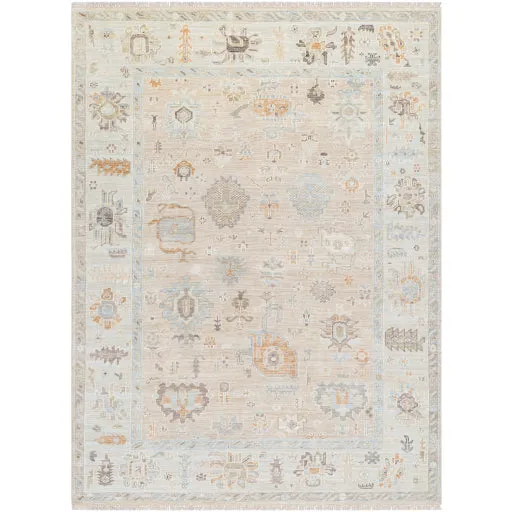 Antalya  Rug AAT-2314- Taupe, Brown