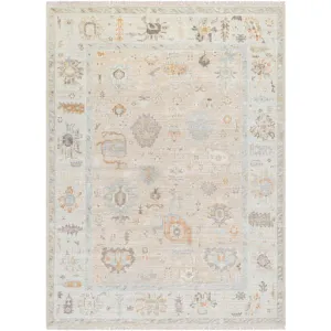 Antalya  Rug AAT-2314- Taupe, Brown