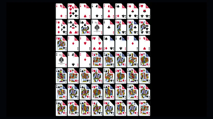 Bicycle Gaff Decks - Assorted Styles