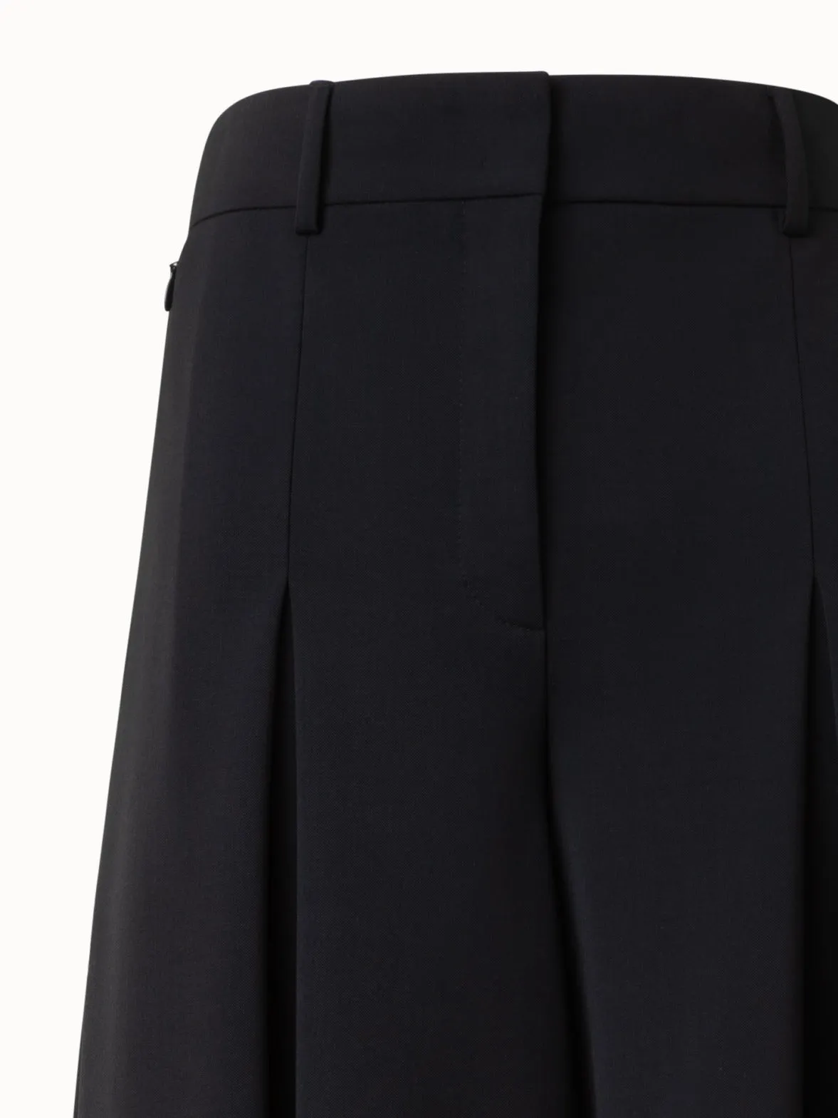Pleated Wide Leg Pants in Wool