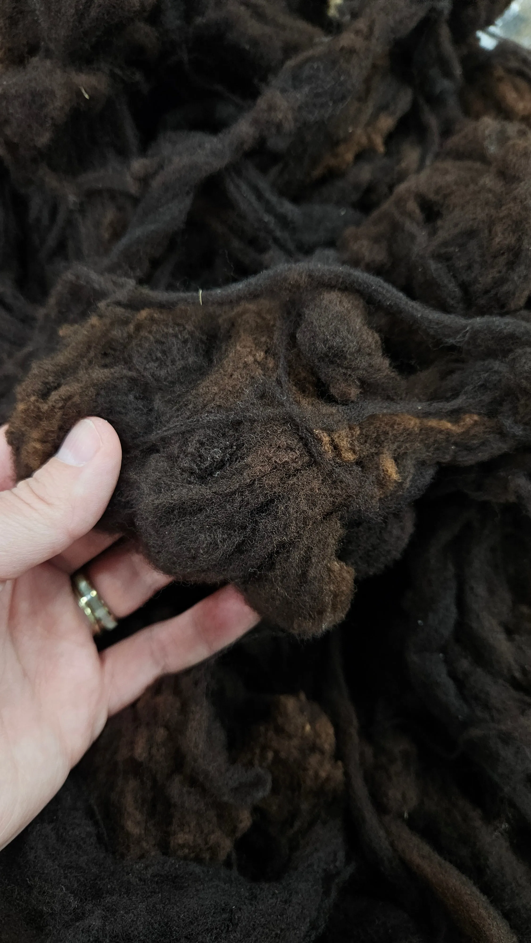 RAMBOUILLET - Washed Fine Wool Fleece Natural Dark Mahogany French Merino - 4 oz