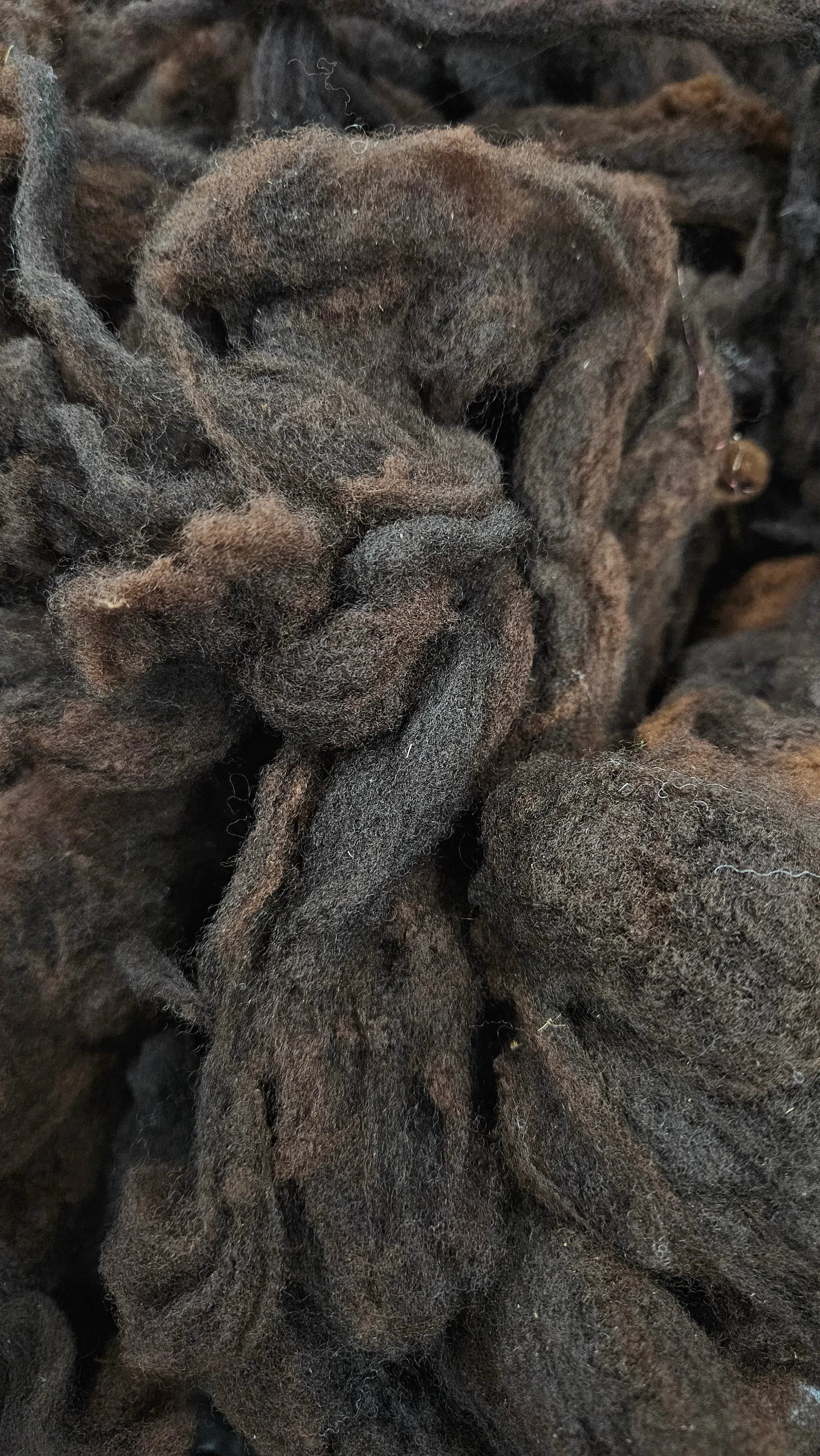 RAMBOUILLET - Washed Fine Wool Fleece Natural Dark Mahogany French Merino - 4 oz